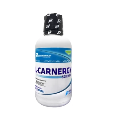 L CARNITINA 2000 PERFORMANCE 474ML 